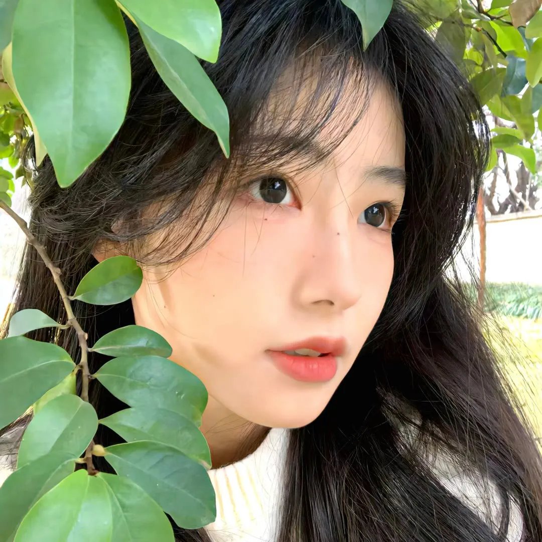 百变狸猫国语