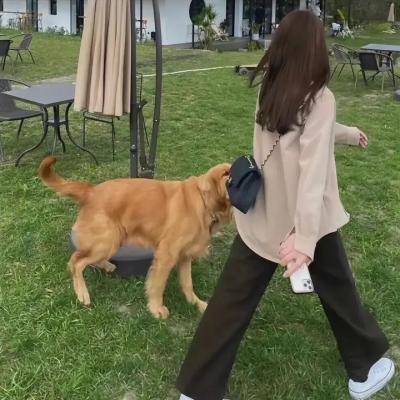 游戏的法则,人间狩猎
